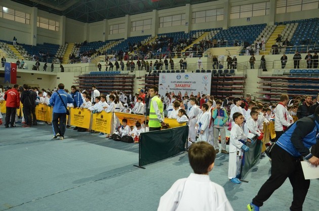 İller arası karate ligi
