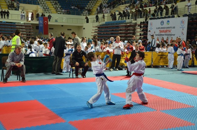 İller arası karate ligi