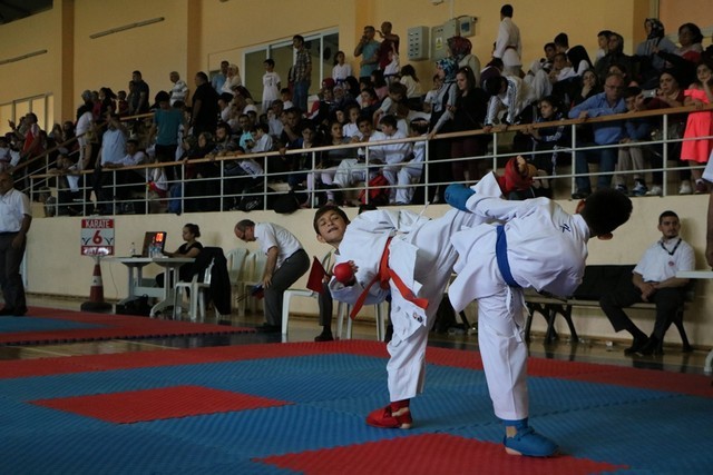 İller Arası Karate Ligi Sona Erdi