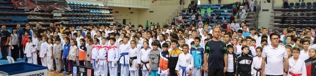 Karate Lig Finali Sakarya'da yapıldı