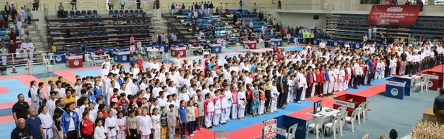 Karate Lig Finali Sakarya'da yapıldı