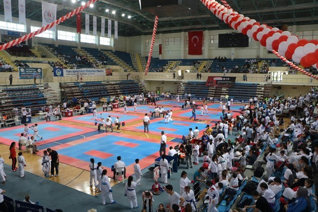 Karate Lig Finali Sakarya'da yapıldı
