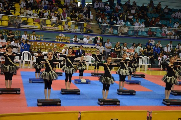 İller arası Karate finalleri Sakarya'da yapıldı