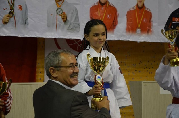 İller arası Karate finalleri Sakarya'da yapıldı