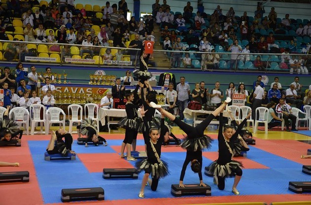 İller arası Karate finalleri Sakarya'da yapıldı