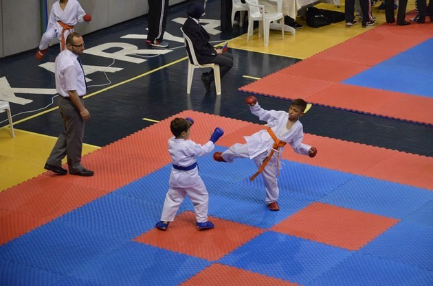 İller arası Karate finalleri Sakarya'da yapıldı