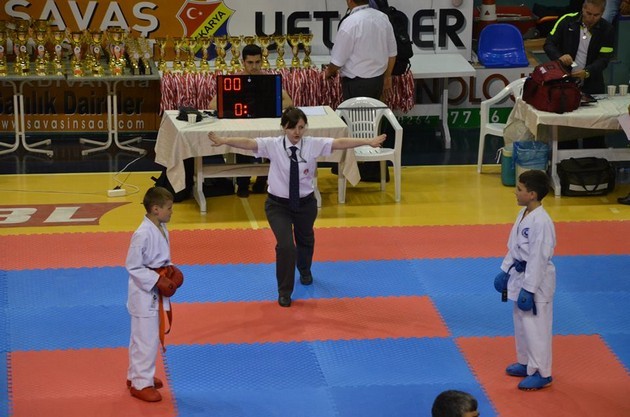 İller arası Karate finalleri Sakarya'da yapıldı