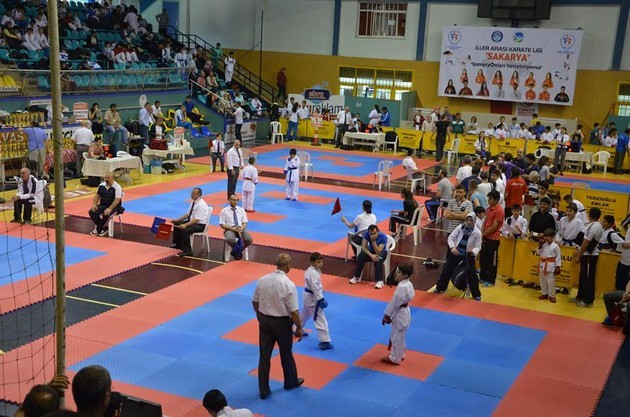 İller arası Karate finalleri Sakarya'da yapıldı