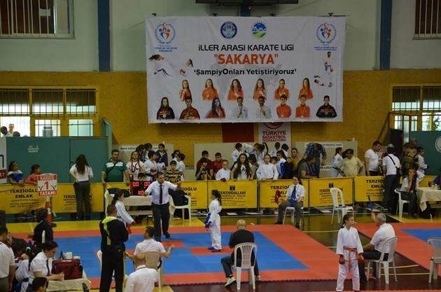 İller arası Karate finalleri Sakarya'da yapıldı