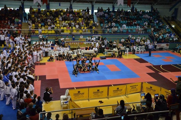 İller arası Karate finalleri Sakarya'da yapıldı