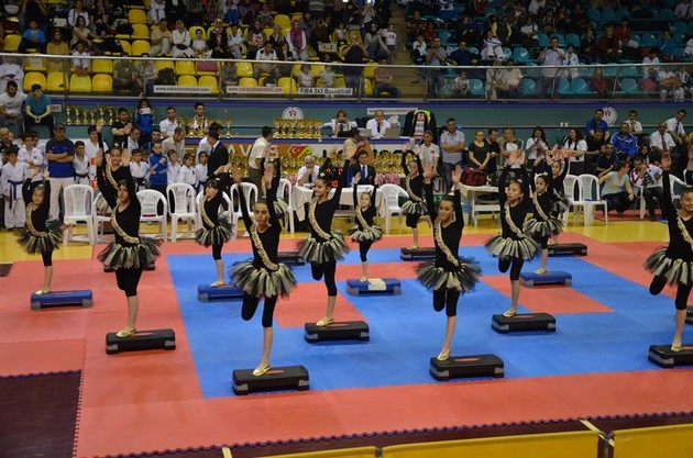 İller arası Karate finalleri Sakarya'da yapıldı