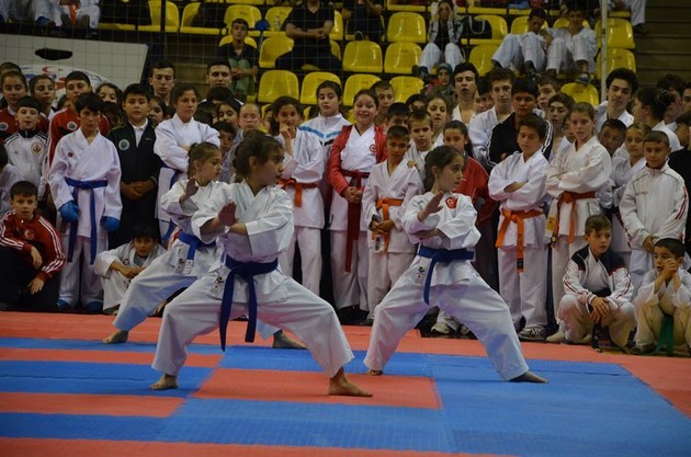 İller arası Karate finalleri Sakarya'da yapıldı