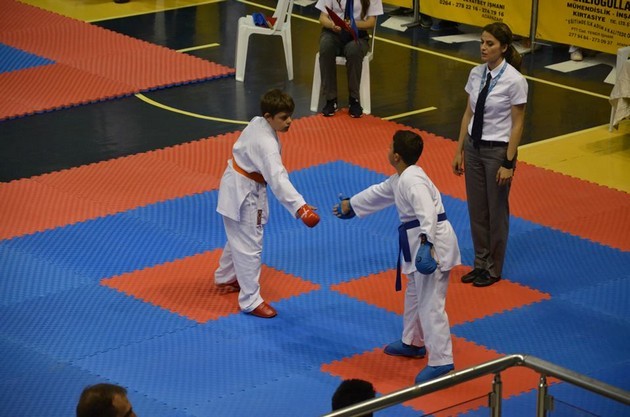 İller arası Karate finalleri Sakarya'da yapıldı