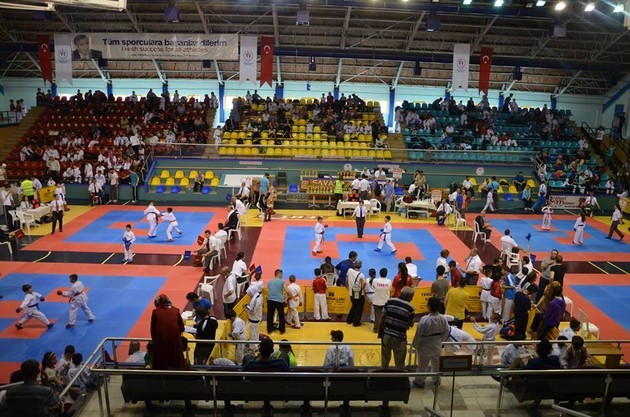 İller arası Karate finalleri Sakarya'da yapıldı