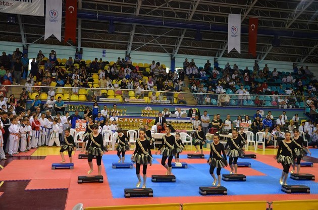 İller arası Karate finalleri Sakarya'da yapıldı