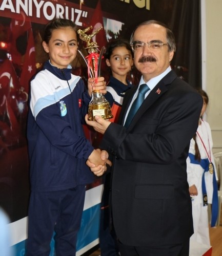 Karate Lig Finali Sakarya'da yapıldı
