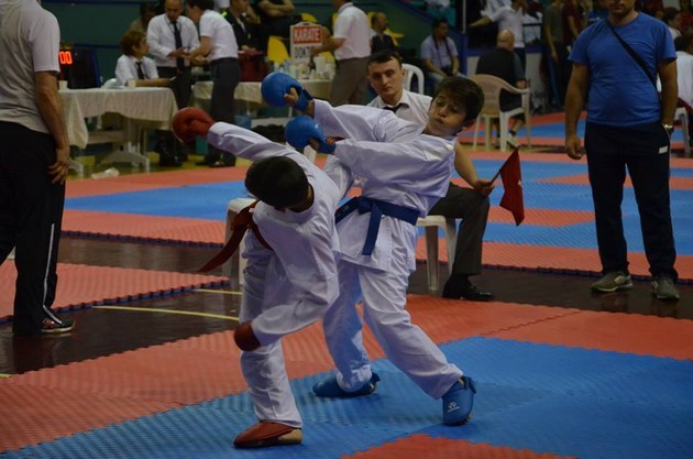 İller arası Karate finalleri Sakarya'da yapıldı