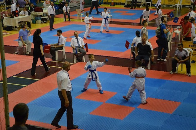 İller arası Karate finalleri Sakarya'da yapıldı