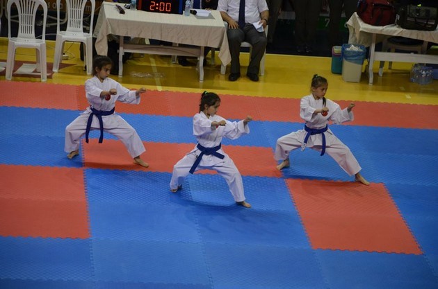 İller arası Karate finalleri Sakarya'da yapıldı