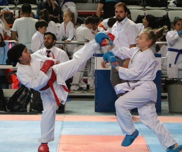Karate Lig Finali Sakarya'da yapıldı