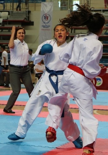 Karate Lig Finali Sakarya'da yapıldı