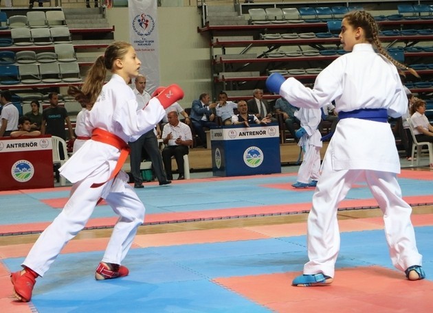 Karate Lig Finali Sakarya'da yapıldı