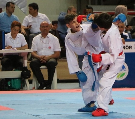 Karate Lig Finali Sakarya'da yapıldı