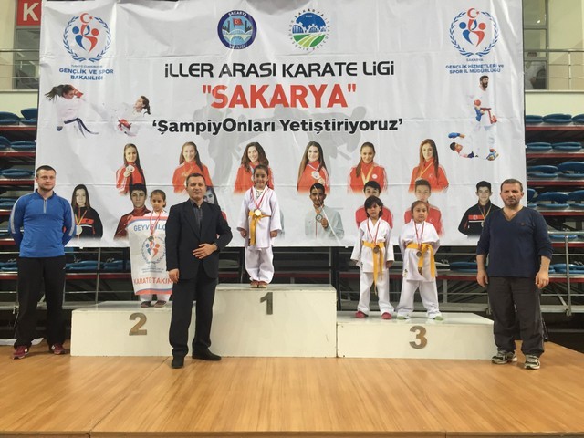 Geyve ilçesi Karate takımlarından 32 Madalya..