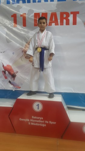 Kobaş Karate'den 43 madalya