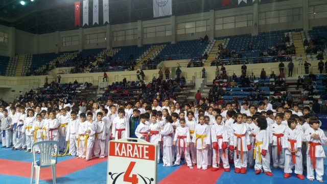 Kobaş Karate'den 43 madalya