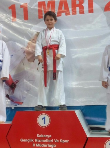 Kobaş Karate'den 43 madalya