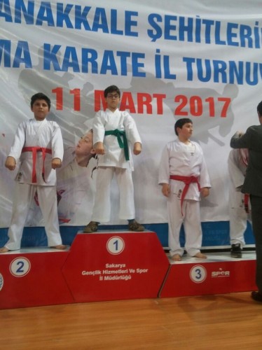 Kobaş Karate'den 43 madalya