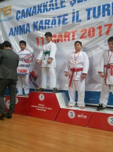 Kobaş Karate'den 43 madalya