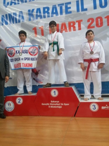 Kobaş Karate'den 43 madalya