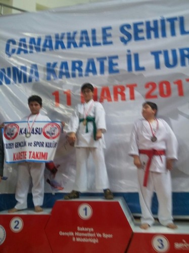 Kobaş Karate'den 43 madalya
