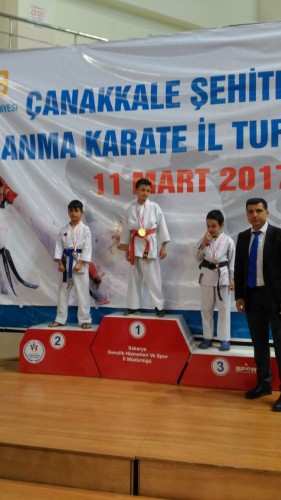 Kobaş Karate'den 43 madalya