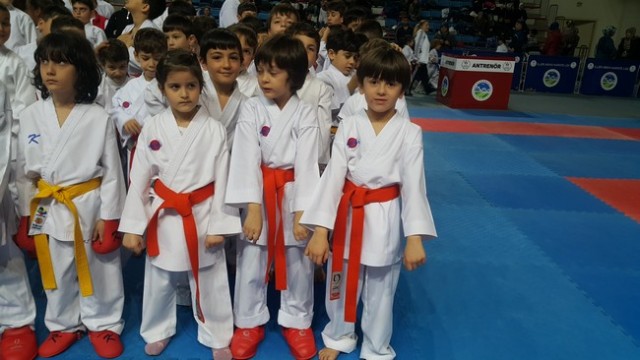 Kobaş Karate'den 43 madalya