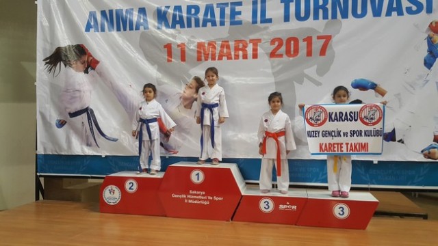 Kobaş Karate'den 43 madalya