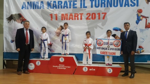 Kobaş Karate'den 43 madalya