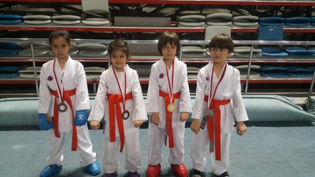 Kobaş Karate'den 43 madalya