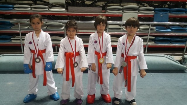 Kobaş Karate'den 43 madalya