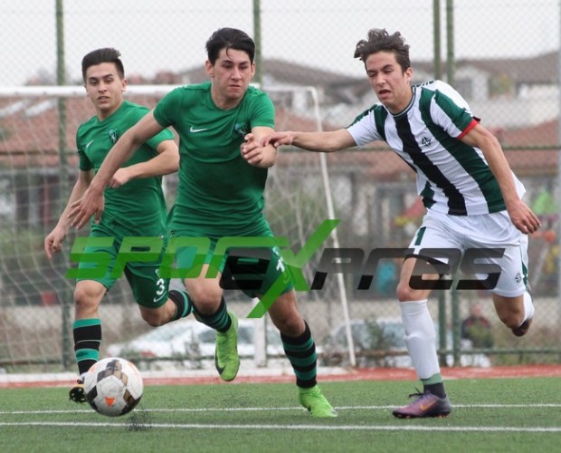 Sakaryaspor U17 şampiyonluğu erteledi