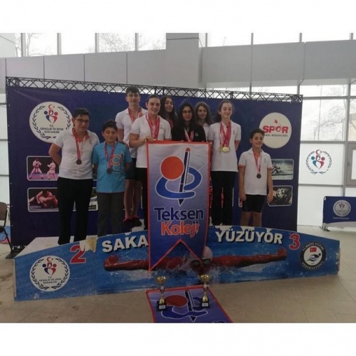 Yüzmede Yıldızlar Geçidi