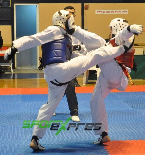 Okullar arası Taekwondo İl birinciliği yapıldı