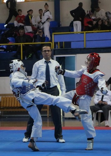 Taekwondonun Yıldızları ödüllerini aldı