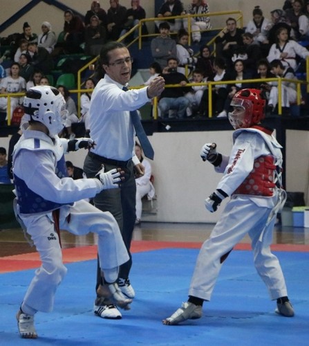 Taekwondonun Yıldızları ödüllerini aldı