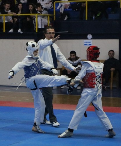 Taekwondonun Yıldızları ödüllerini aldı