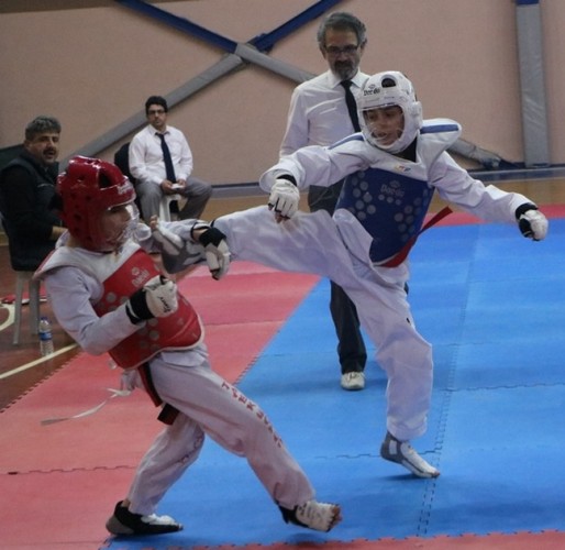 Taekwondonun Yıldızları ödüllerini aldı