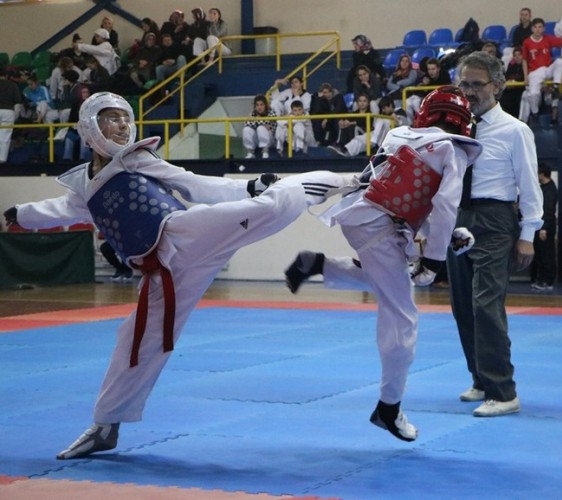 Taekwondonun Yıldızları ödüllerini aldı