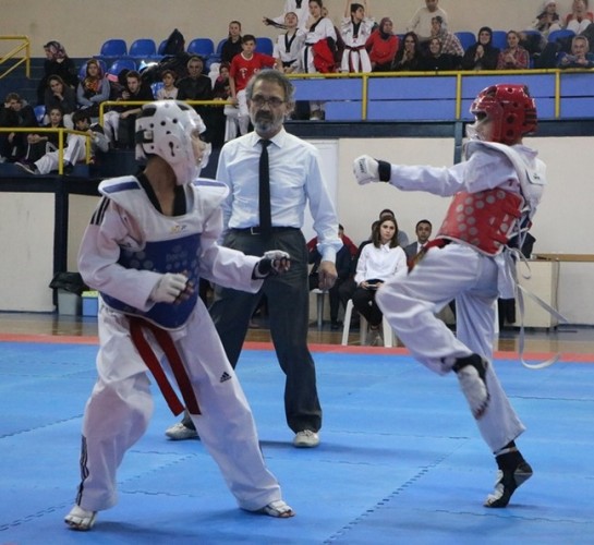 Taekwondonun Yıldızları ödüllerini aldı